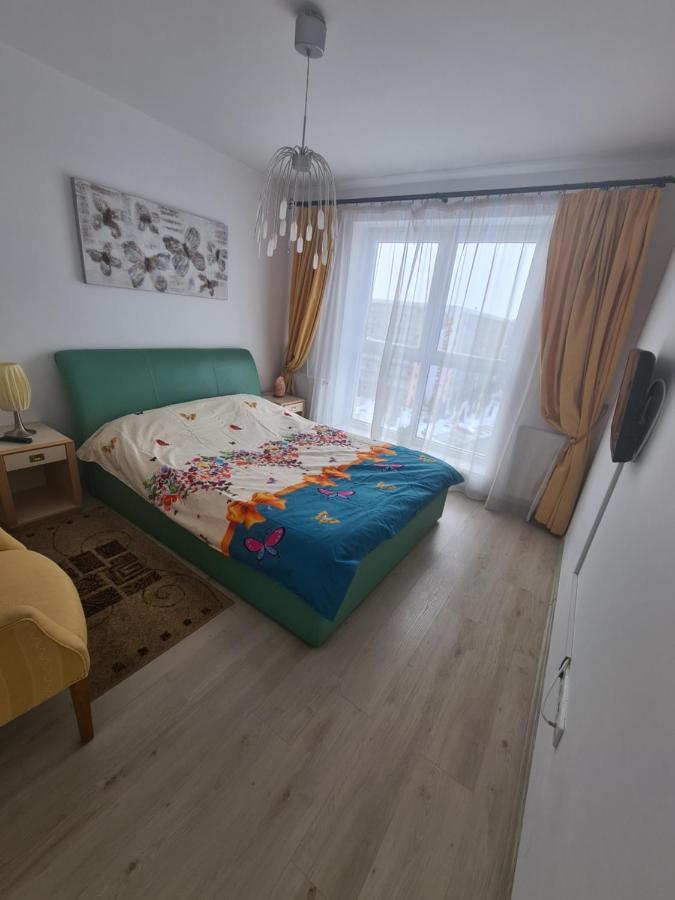 Jolly Apartment 브라쇼브 외부 사진